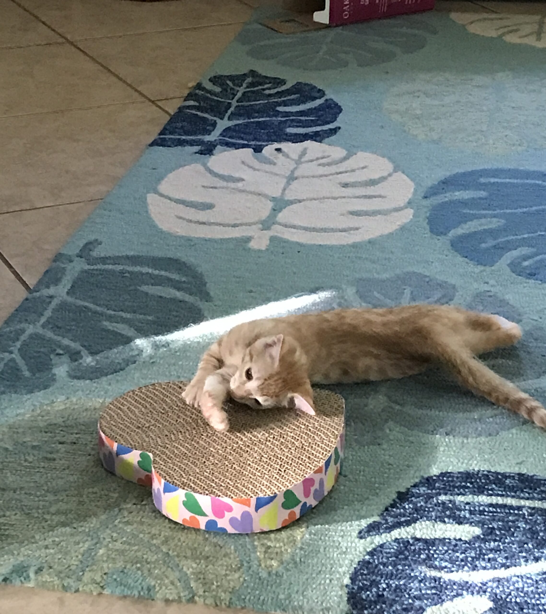 Scratching Pad Love