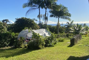 Honoring the A'ina